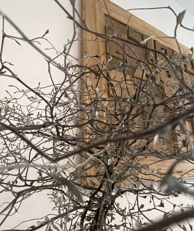 Geschäftsumgebung: Pflanze und Bild Geschäftsumgebung: Pflanze und Holzbild